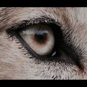 Meet your Posher, Chloe